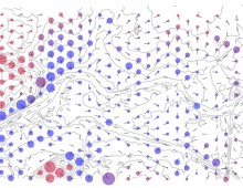 Geschützt: An Active Matter